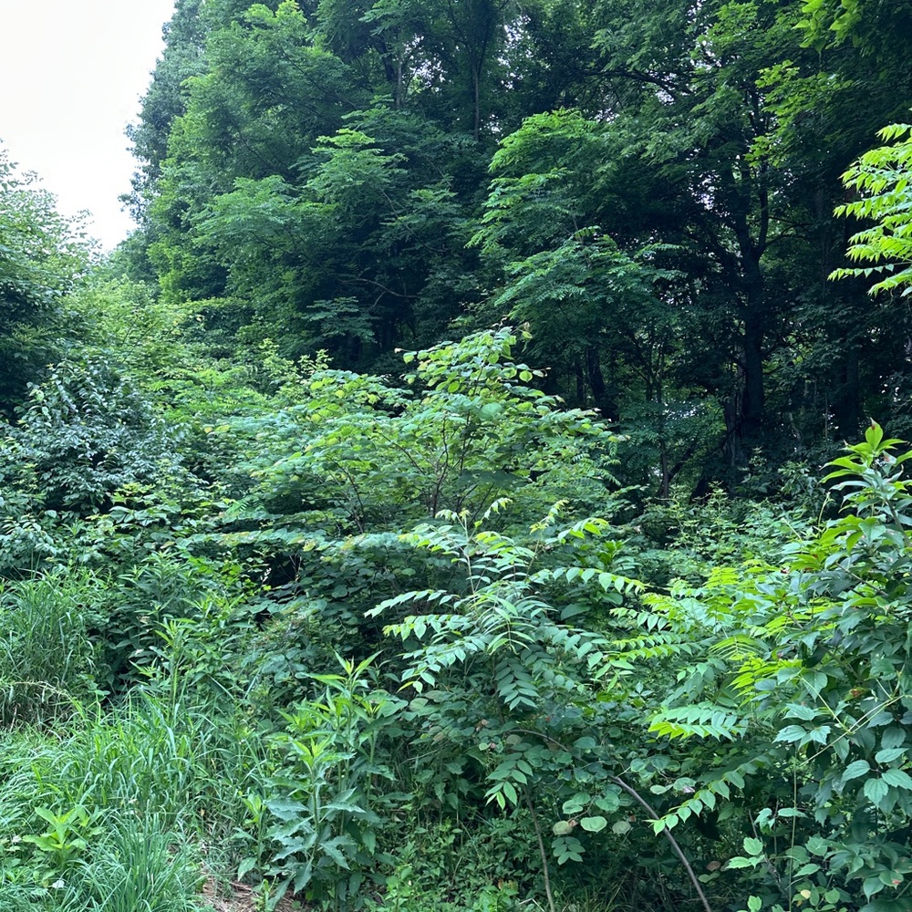 Meet your Posher, Ilovenature540